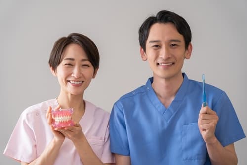  Two dental hygienists smiling while holding a dental model and a toothbrush, promoting oral hygiene education.